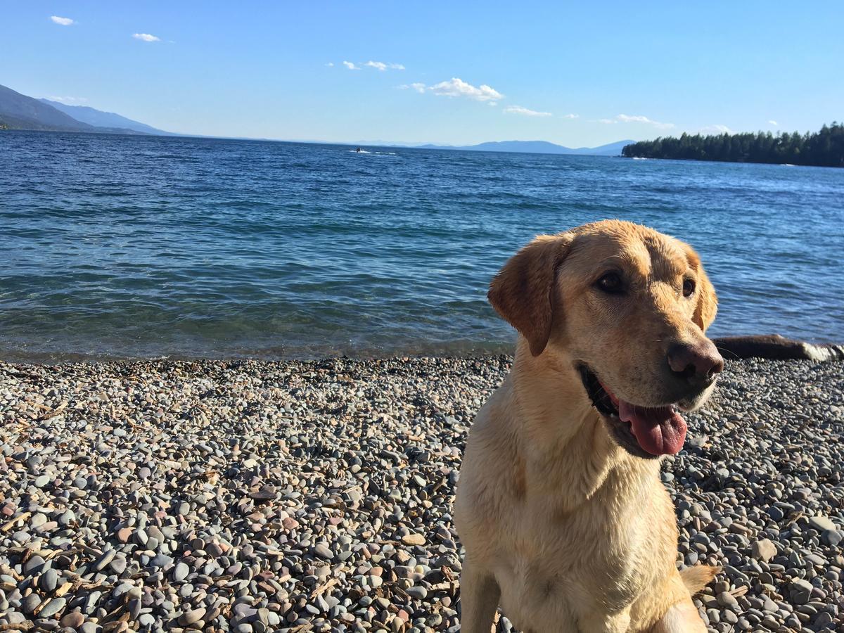 Flathead Lake Resort Woods Bay エクステリア 写真